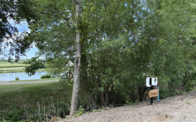 Leaky Roof Motorhome Fixed…Excellent Customer Service