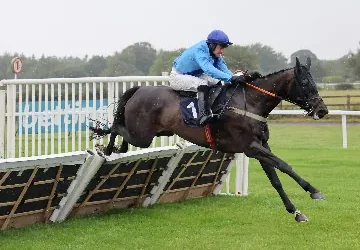 Sedgefield Racecourse What’s On 2026