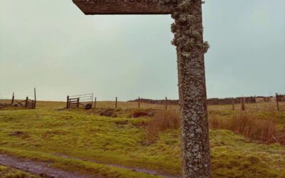 Walking in County Durham