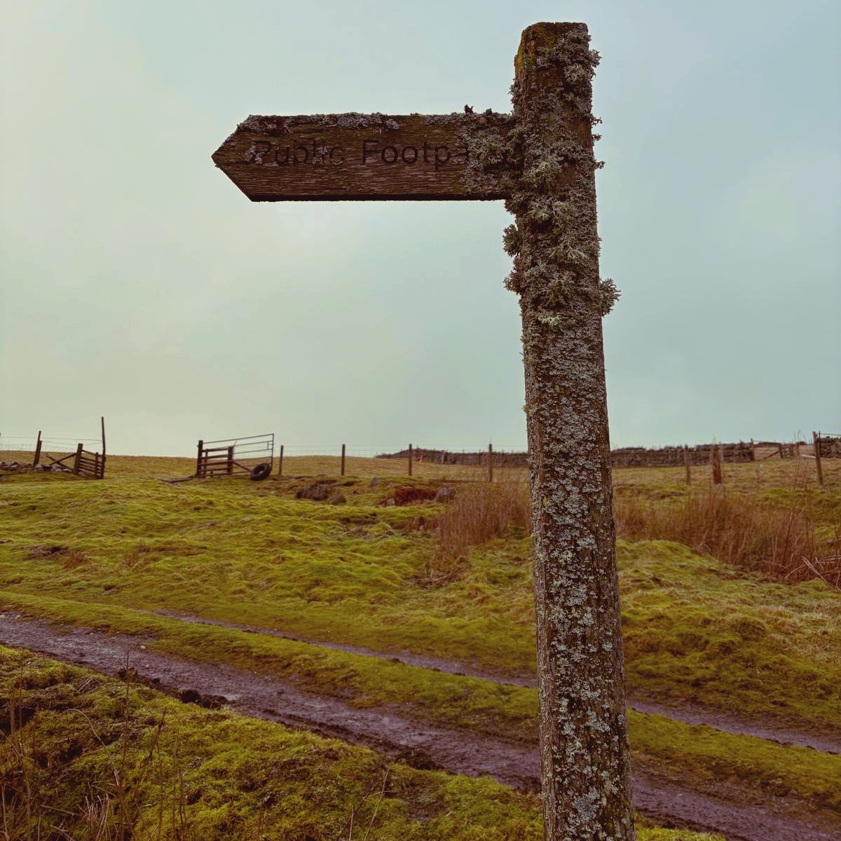 Walking in the North Pennines