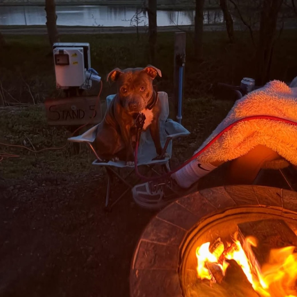 Firepit Motorhome Pitches